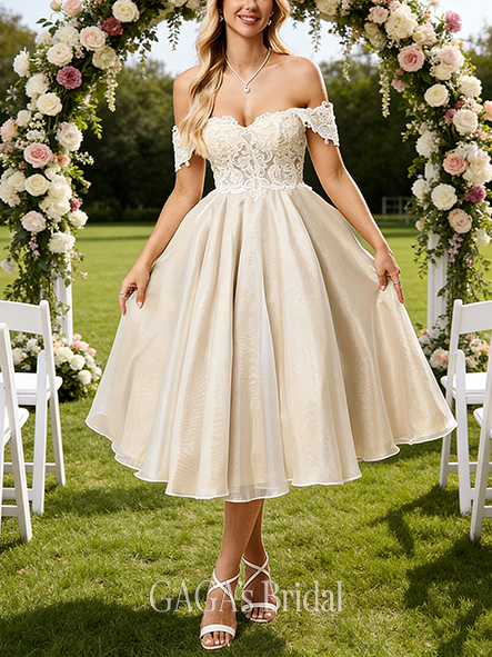 Off-the-Shoulder A-Line Tulle Lace Dress