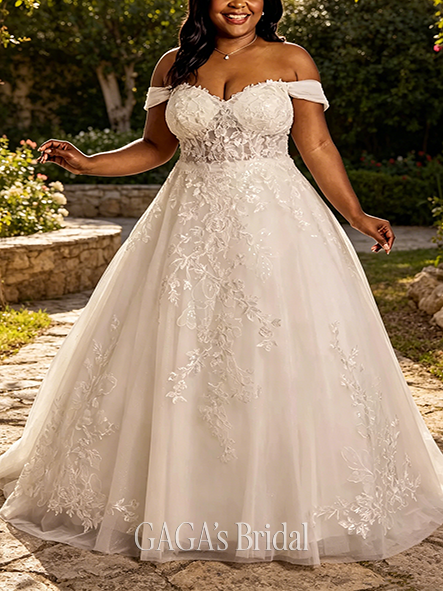 Soft Romantic Lace Applique Ball Gown with Swag Sleeves